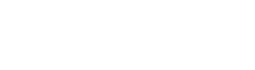 Women in STEMM Australia logo